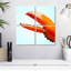 Griffe de homard rouge Brampt-109111150