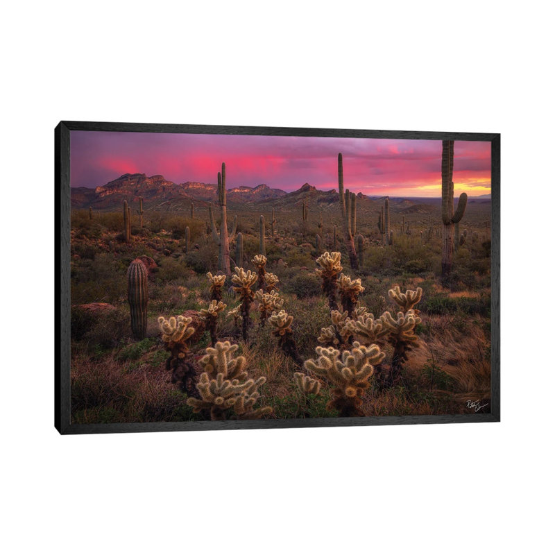 Dance Of The Desert by Peter Coskun - Floater Frame Print on Canvas, Black Framed Canvas, 101.6 cm H x 66.04 cm W