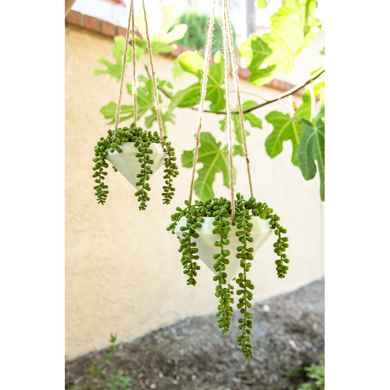 Hampson Ceramic Hanging Planter