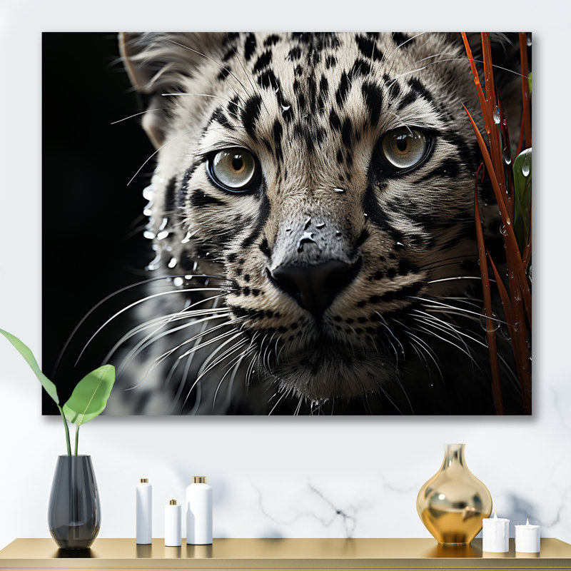 «Jungle Leopard Stalk II», reproduction sur toile, Toile tendue, H 24 po x l 32 po x P 1 po
