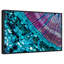 Tige de pin sous microscope-1958989243-1958989239