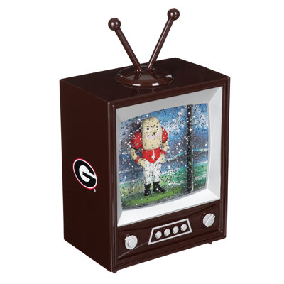 University of Georgia Lighted Vintage TV Water Lantern