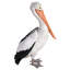 Statue pelican géant