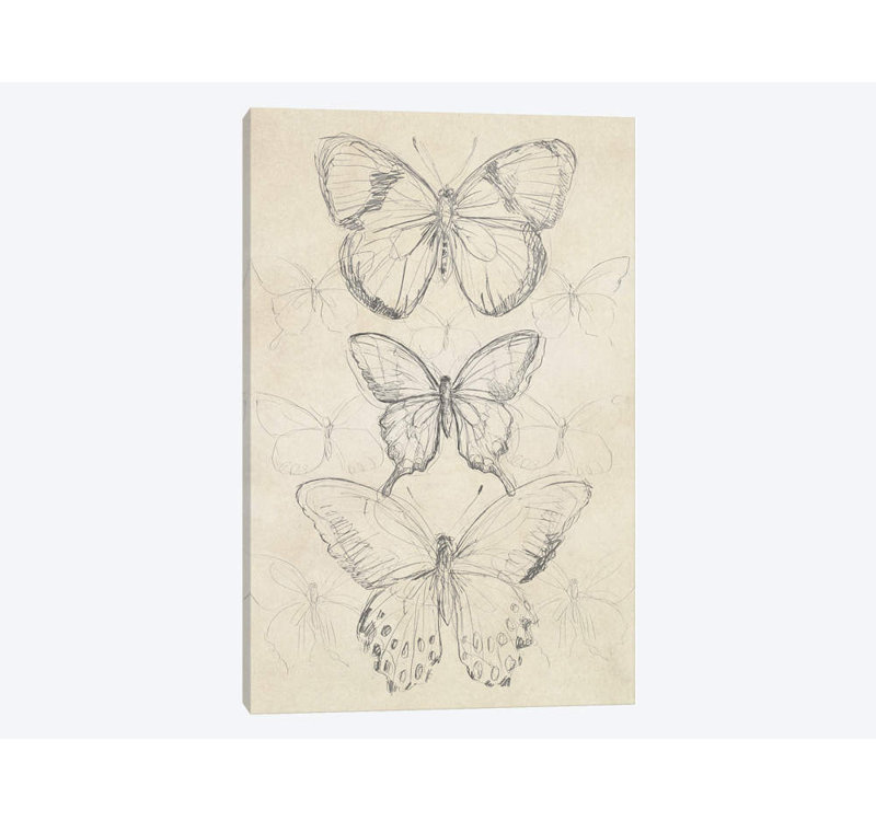 «Vintage Butterfly S croquis I», reproduction sur toile tendue, H 18 po x l 12 po x P 1,5 po, Toile tendue