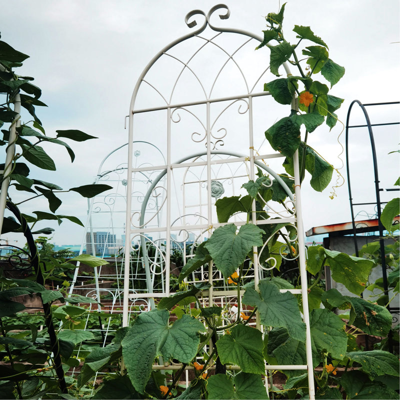 Treillis de jardin en métal 86,7 po x 19,7 po sur 2, rouille blanc crème, pour plantes grimpantes: rose, jasmin, rouille facile, raisin, concombre, assemblage