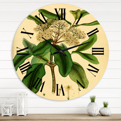 Vintage Plant Life I - Horloge murale traditionnelle