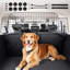 Barrière de séparation pour chien 35,4 "à 60,6" Dog Car Barrier