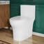 Toilette monobloc à jupe, allongée, hauteur ADA, 19 po, double chasse d'eau 1,1/1,6 gal, pour personnes âgées, chasse d'eau Tornado blanche, entraxe de 12 po