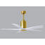Patricia LED Downrod Ceiling Fan-1922835873-1952218703