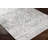 Westbrook Oriental Machine Woven Area Rug in Gray-1717856324