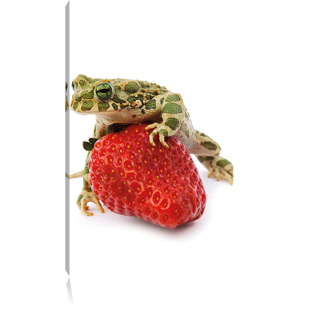 Leinwandbild Strawberry Frog Glas Erdbeere Frosch, Fotodruck