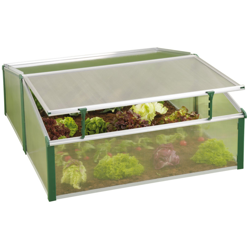 Double Cold Frame