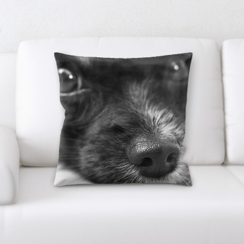 Coussin pour chien