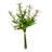 Artificial Sage Bundle-216721687