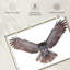 Owl Power-107703802