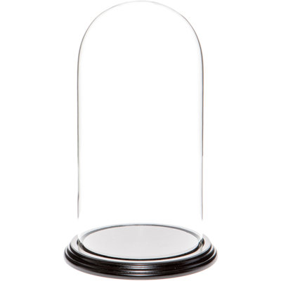 Vucciria Glass Display Dome Cloche