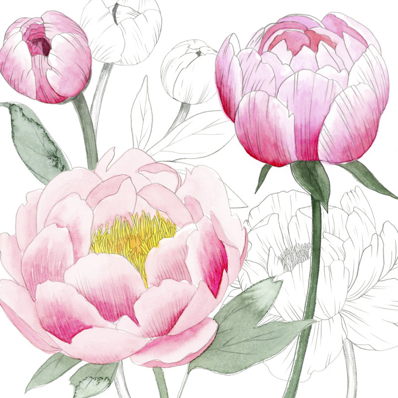 May Peonies II by Grace Popp - Wrapped Canvas Painting, 122cm H x 122cm W