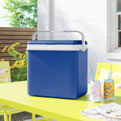 Wayfair Basics™ 24 L Handheld Cooler in