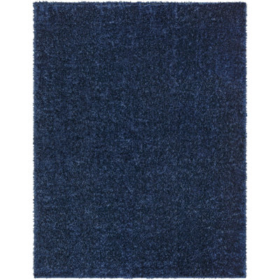 Basics by Wayfair™ Solid Shag Area Rug