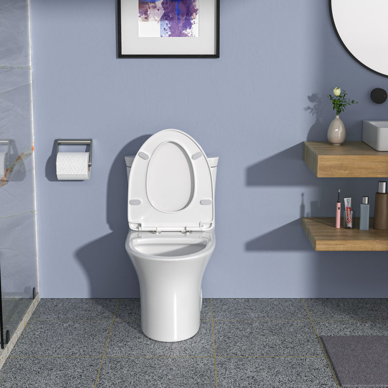 Toilette une pièce Rainlex RX-T38W