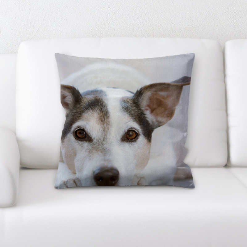 Coussin pour chien