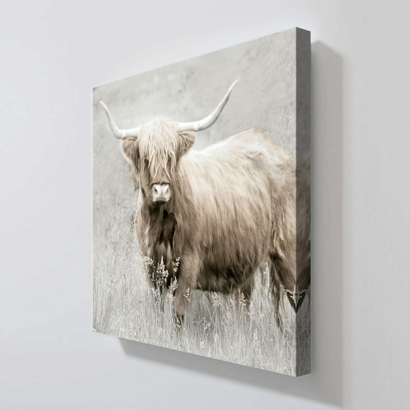"Lone Highland" by Danita Delimont Print on Canvas, 18" H x 18" W x 1" D