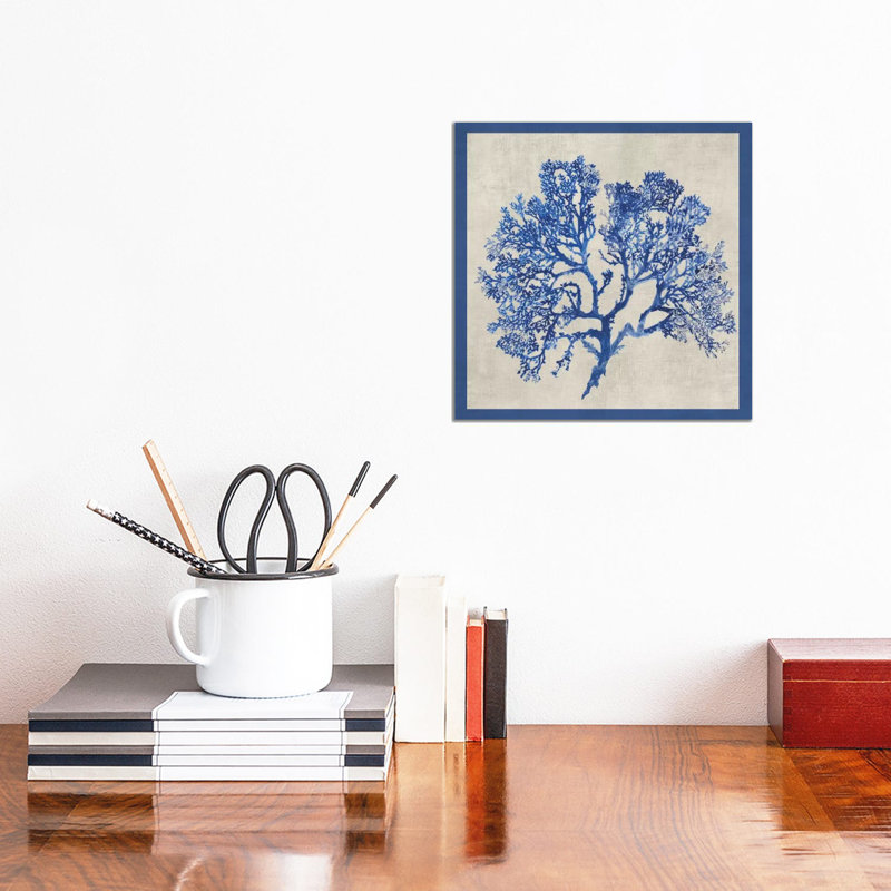 Cobalt Coral I by Aimee Wilson - Wrapped Canvas Print, 30.48 cm H x 30.48 cm W