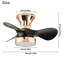 Ventilateur de plafond 21,25 po avec lumières DEL Zakiyah