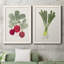 Organic Veg I - Toile avec cadre de qualité supérieure - prête à être accrochée-2020120751-2020120747