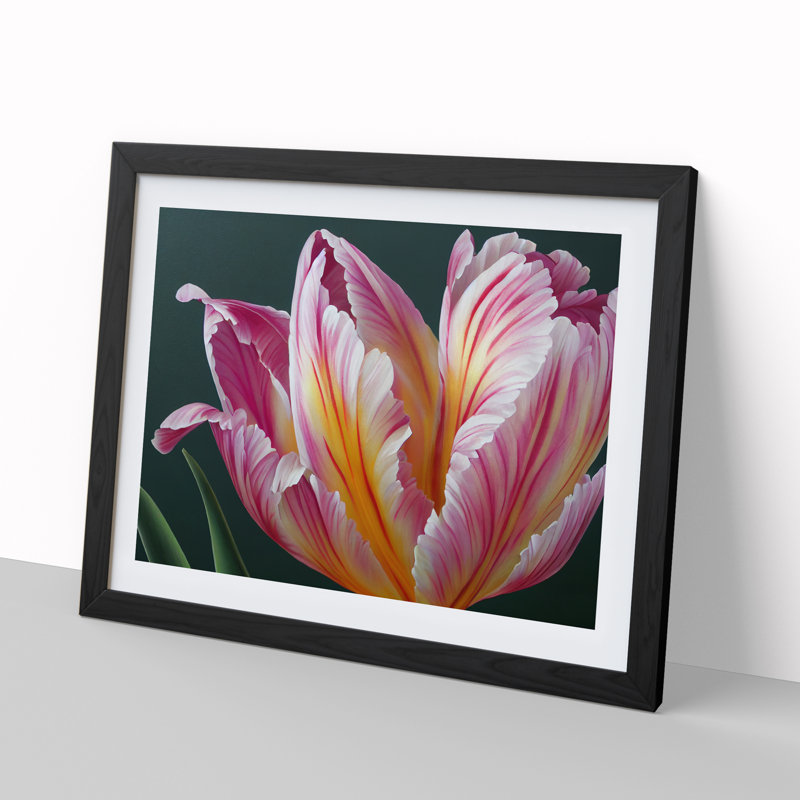 Heavenly Flower - Single Picture Frame Print, Black, 46cm H x 64cm W x 2cm D