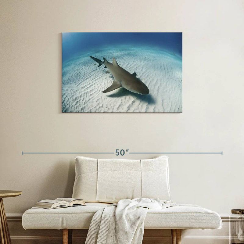 Brampt Lemon Shark Over The Seabed, 24" H x 36" W