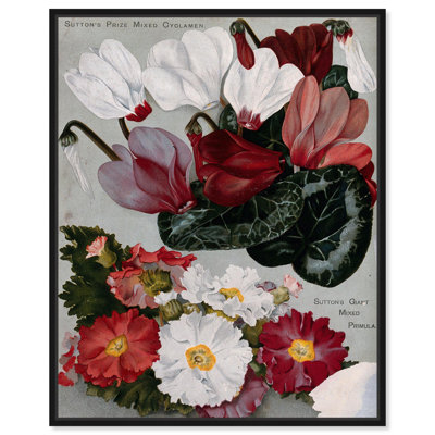 «Cyclamens» par Art Remedy