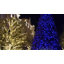 Éclairage à DEL constant 50 guirlandes lumineuses-166305697