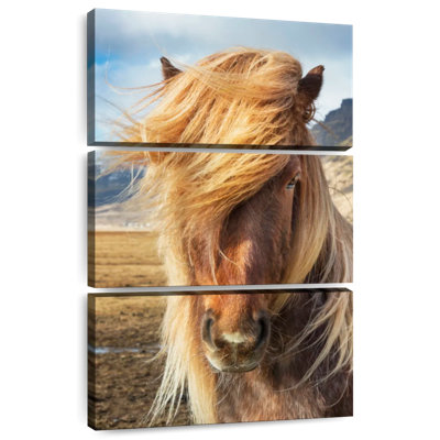 Brampt Icelandic Horses In The Countryside I