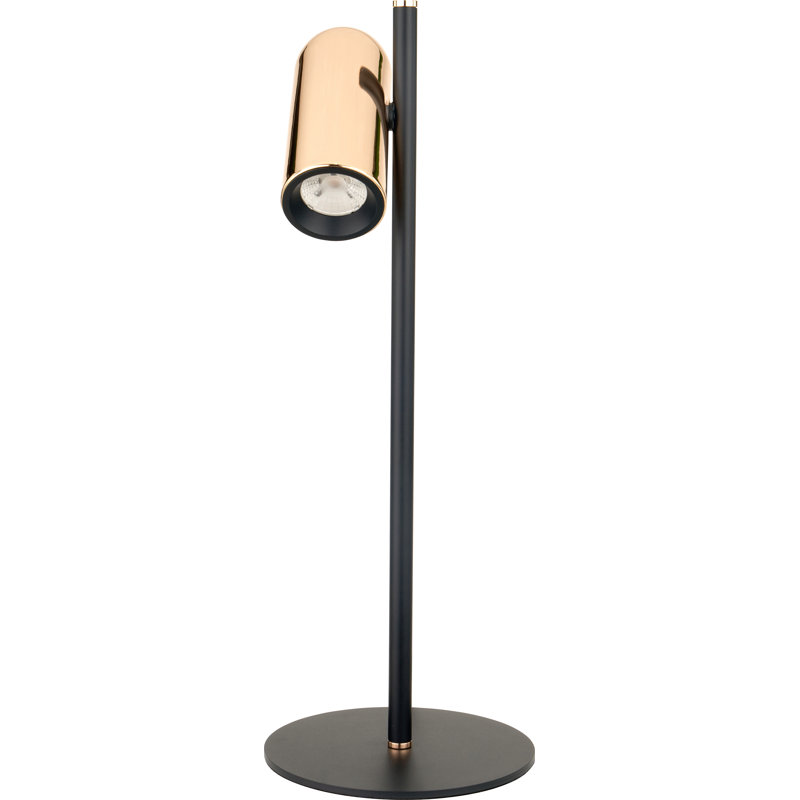 Beverlie Iron Desk Lamp
