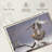 Peregrine Falcon-107673285