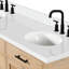 ARIEL Camila 73 Double Sink Bathroom Vanity with Pure White Quartz Top-2137135124