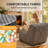 Floor Chaise Lounge Convertible Sofa Bed