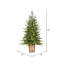 4' H Lighted Artificial Pine Christmas Tree