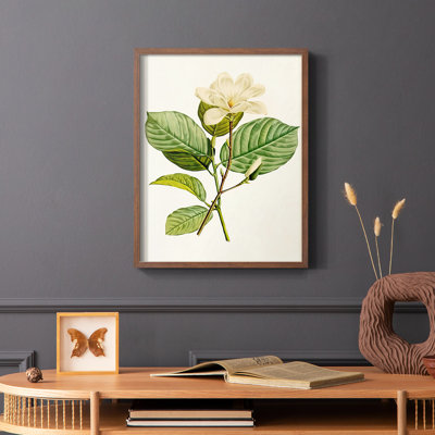 «Magnolia Flowers I», reproduction encadrée - bois massif