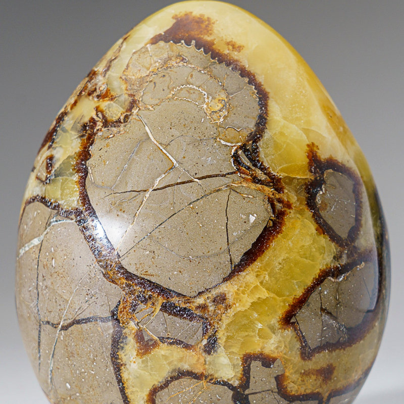 Polished Septarian Freeform From Madagascar (2.6 Lbs)