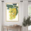 Impression sur toile encadrée «Tropicals VI» par Ciska-1044949081