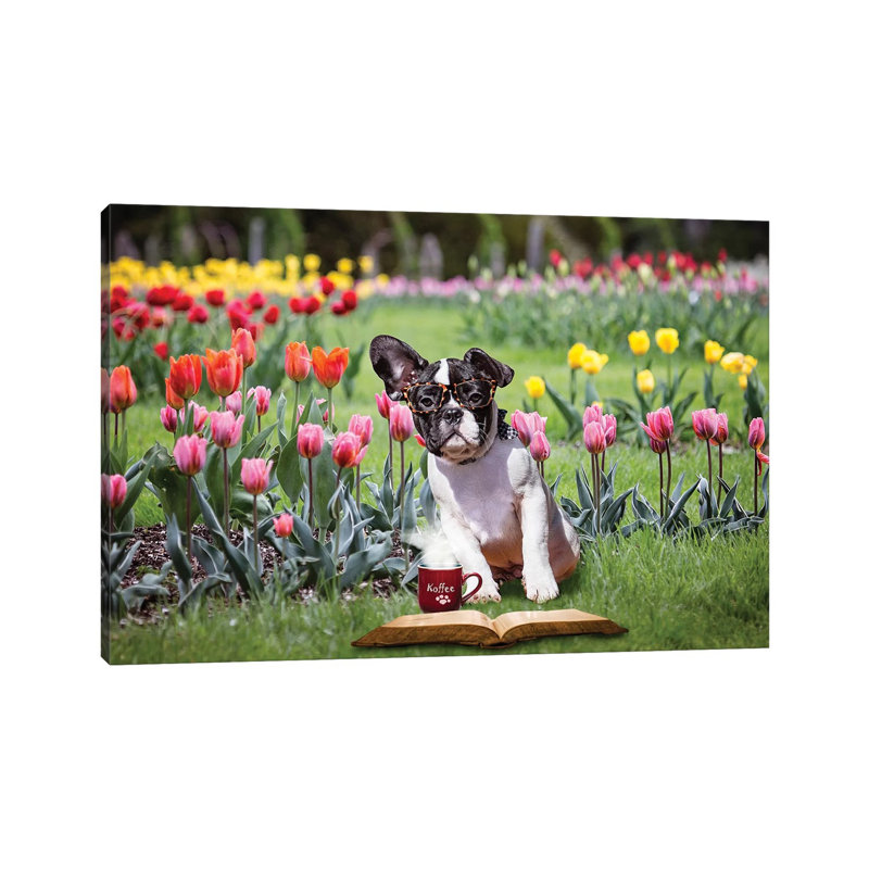 Charlie Coffee And A Book by Karen Burke - Wrapped Canvas Print, 20.32cm H x 30.48cm W x 1.905cm D