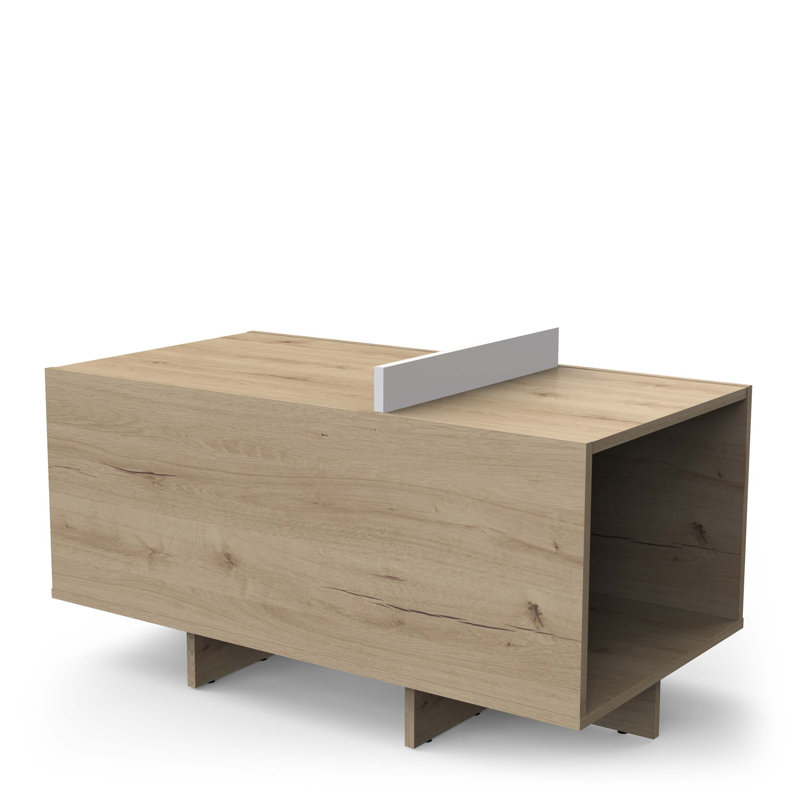 LEAD Coffee Table with Storage