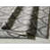 Magaret Abstract Indoor Rug