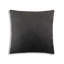Noah Velvet Square Pillow Cover & Insert-257995877