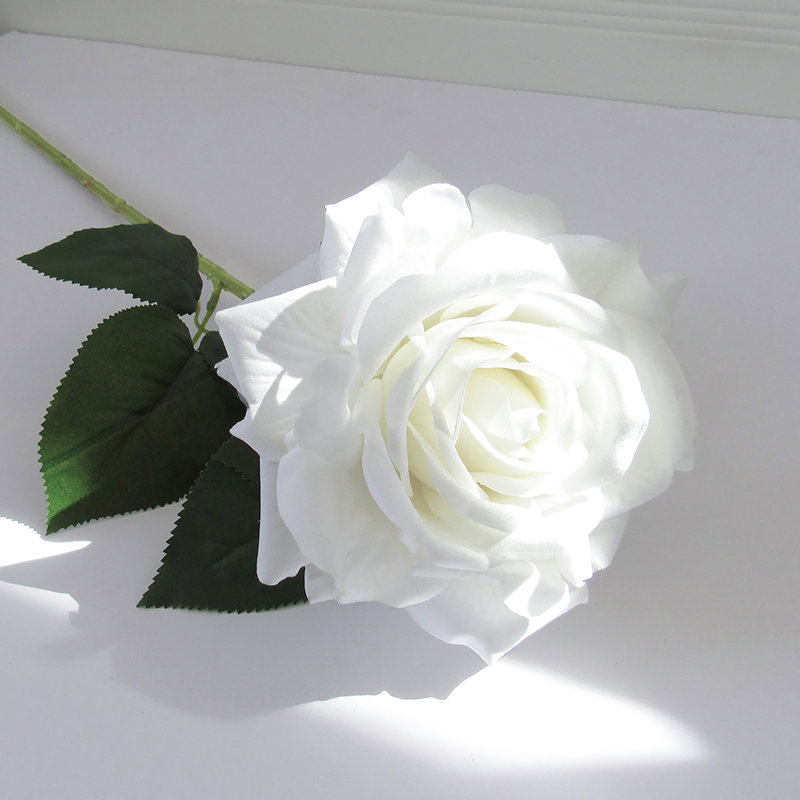 Grandes tiges roses en velours, Blanc crème