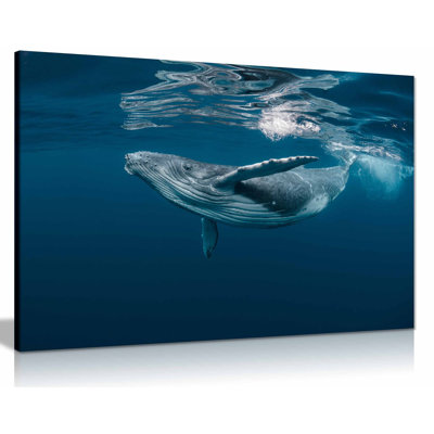 Humpback Whale Ocean 3 - Wrapped Canvas Print