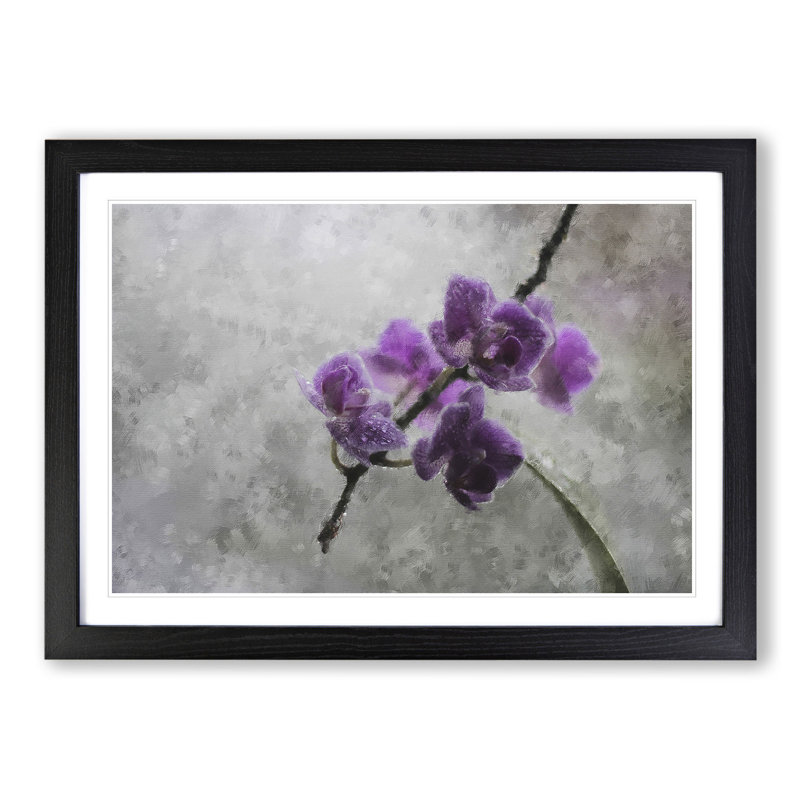 Orchid Flowers Vol.3 - Framed Print, 27cm H x 36cm W x 2cm D, Black Framed