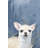 Amazed - Wrapped Canvas Painting-2114972258